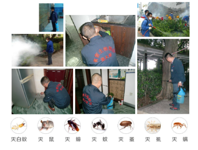 繼上一次后的又一次震撼場景！